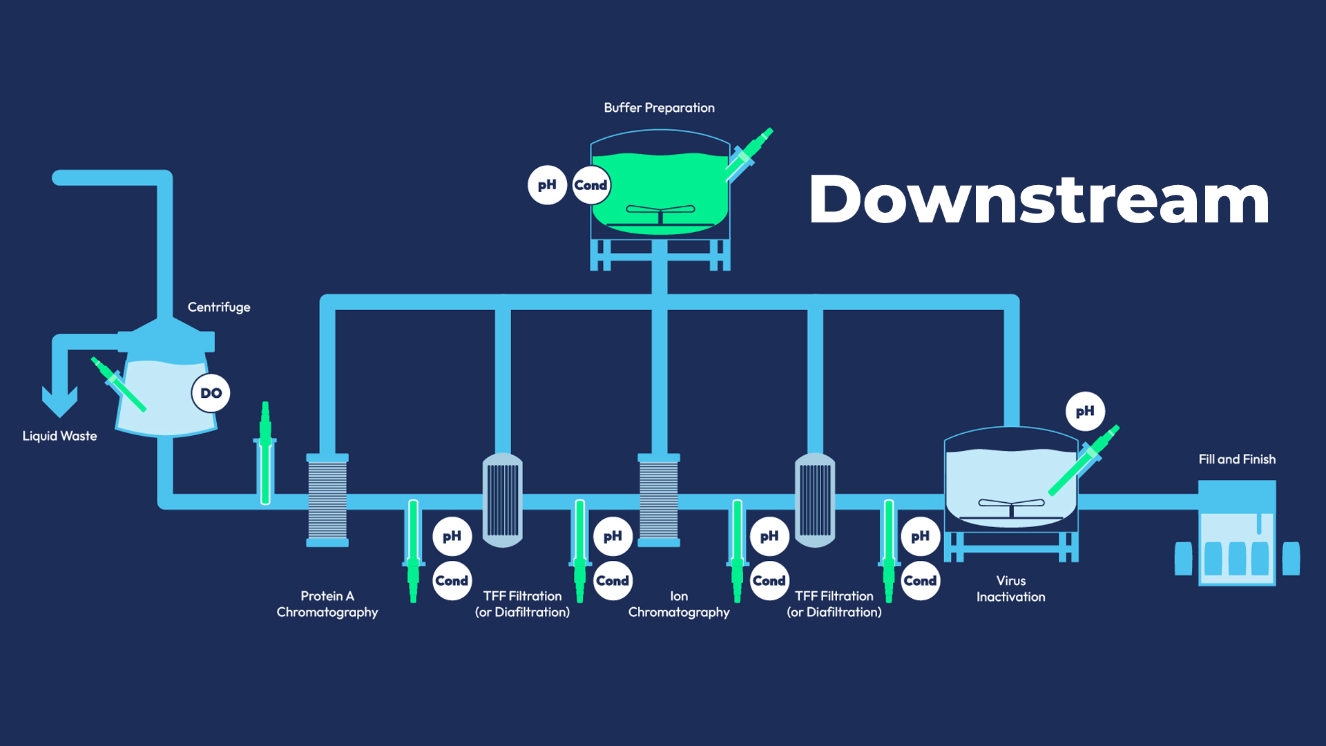 Downstream Processing Image
